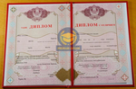 Специалист 2009-2025 с отличием