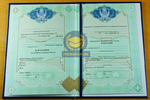 Бакалавр 2009 - 2025
